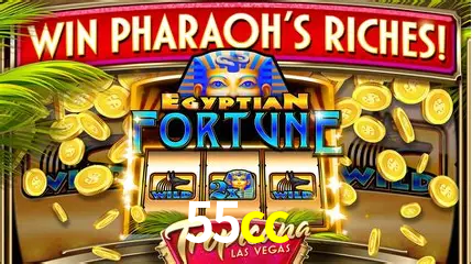 Jogos de mesa e apostas rápidas na 55cc